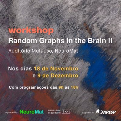 Workshop Random Graphs in the Brain II